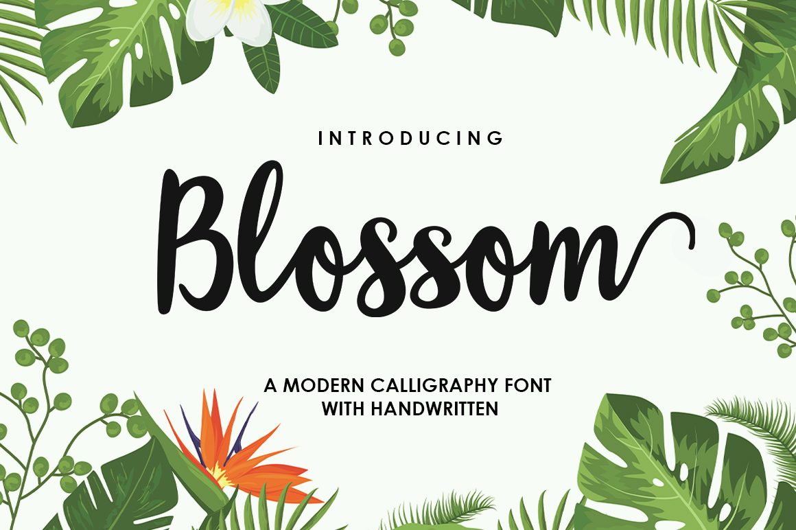 Evaluating Blossom Script Font for Your Design Projects