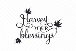 Harvest Your Blessings – A Modern Take on Gratitude and Design